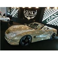 180113tas (88).JPG